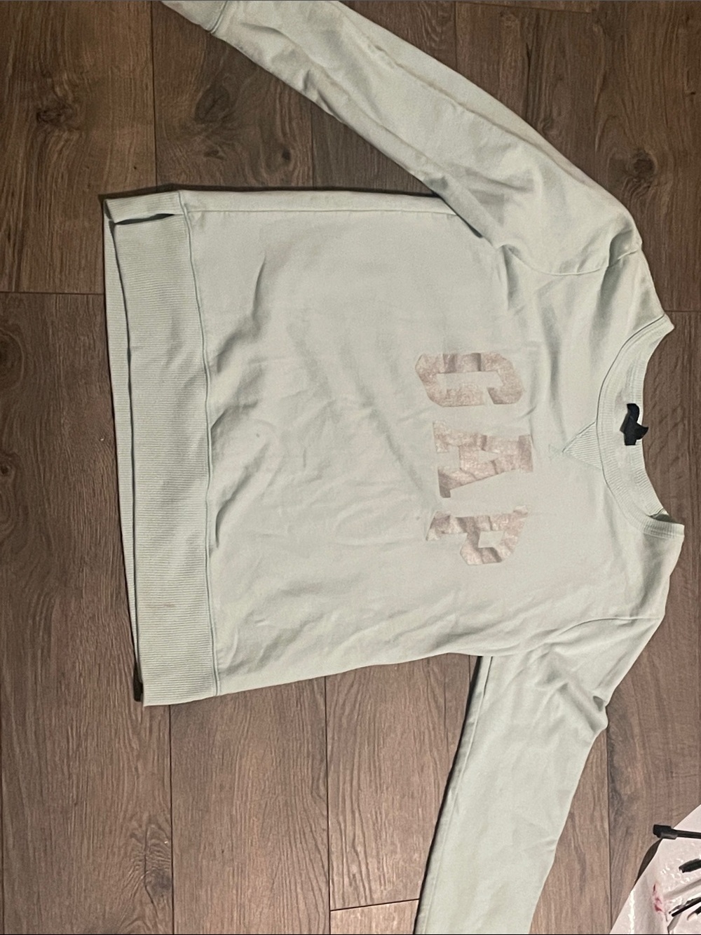 GAP women’s  Mint Crewneck with Tonal Logo